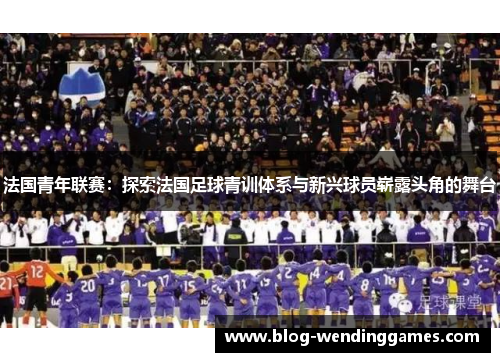 法国青年联赛：探索法国足球青训体系与新兴球员崭露头角的舞台