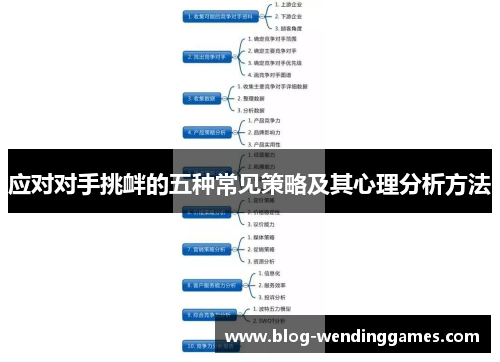 应对对手挑衅的五种常见策略及其心理分析方法
