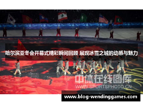 哈尔滨亚冬会开幕式精彩瞬间回顾 展现冰雪之城的动感与魅力