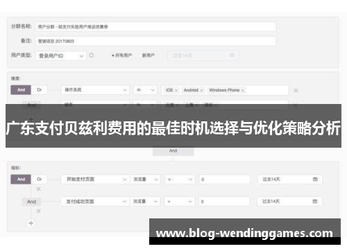 广东支付贝兹利费用的最佳时机选择与优化策略分析