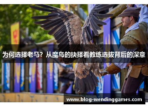 为何选择老马？从魔鸟的抉择看教练选拔背后的深意