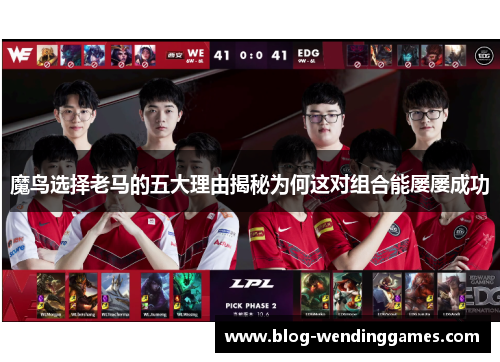 魔鸟选择老马的五大理由揭秘为何这对组合能屡屡成功